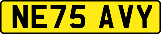 NE75AVY