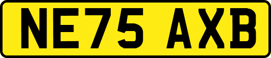 NE75AXB