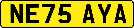 NE75AYA