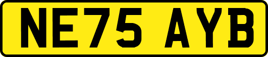 NE75AYB