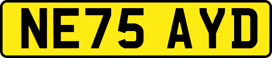 NE75AYD