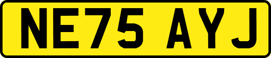 NE75AYJ