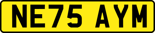 NE75AYM