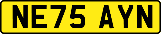NE75AYN