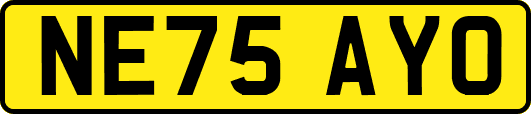 NE75AYO
