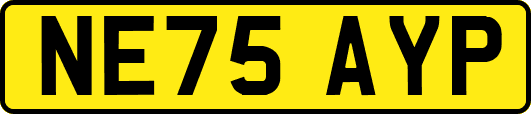 NE75AYP