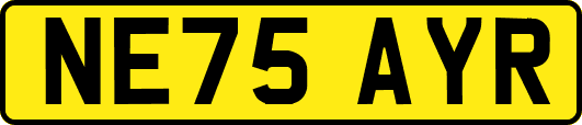 NE75AYR