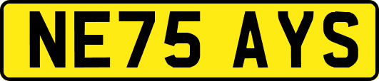 NE75AYS