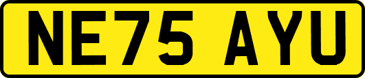 NE75AYU