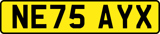 NE75AYX
