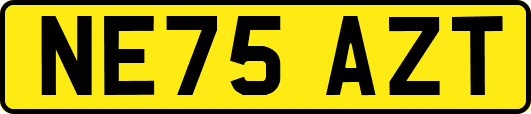 NE75AZT