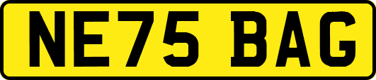 NE75BAG