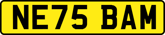NE75BAM