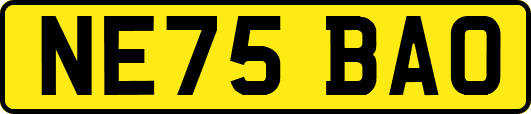 NE75BAO