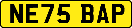 NE75BAP