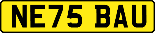 NE75BAU