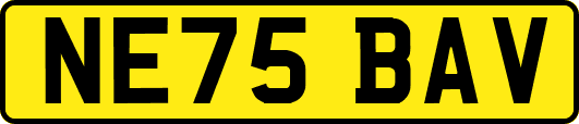 NE75BAV