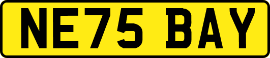 NE75BAY