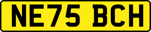 NE75BCH