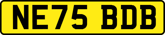 NE75BDB
