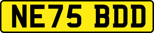 NE75BDD