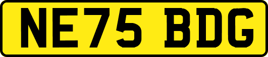 NE75BDG