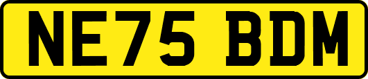 NE75BDM