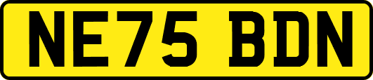 NE75BDN