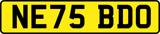 NE75BDO