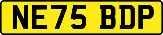 NE75BDP
