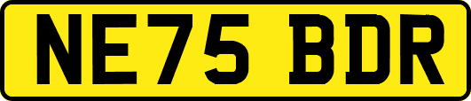 NE75BDR