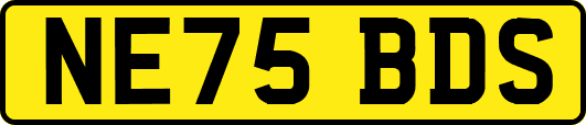 NE75BDS