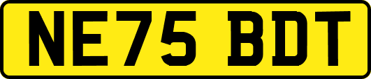 NE75BDT