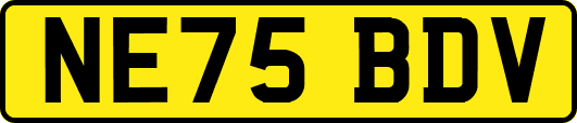 NE75BDV
