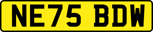 NE75BDW