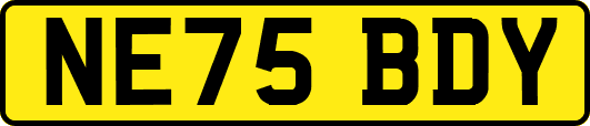 NE75BDY