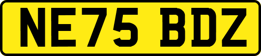 NE75BDZ
