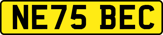 NE75BEC