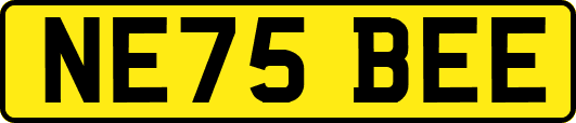NE75BEE