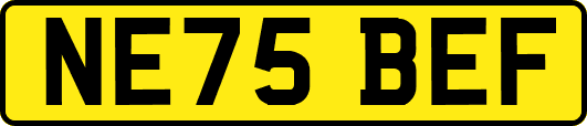 NE75BEF
