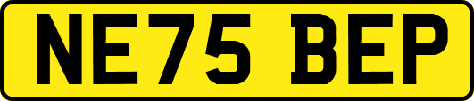NE75BEP