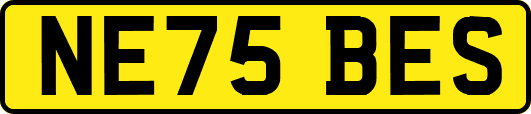 NE75BES