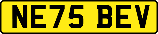 NE75BEV