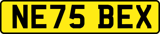 NE75BEX