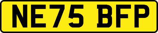 NE75BFP
