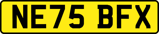 NE75BFX