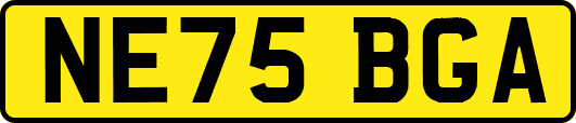 NE75BGA