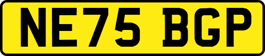 NE75BGP
