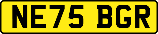 NE75BGR