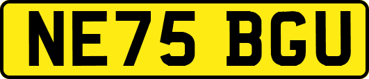 NE75BGU